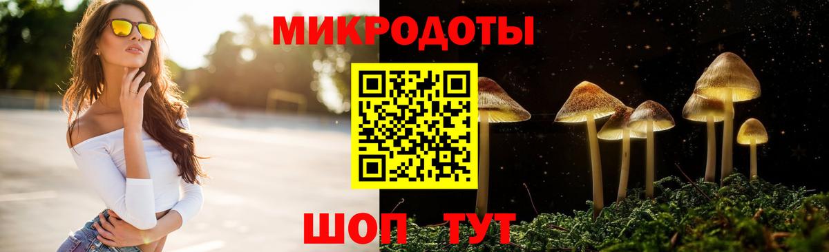 Псилоцибиновые грибы прущие грибы  Вход с VPN  Фурманов 